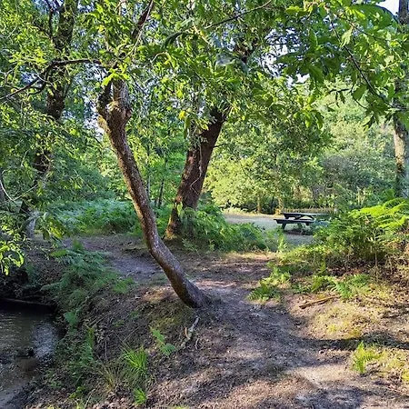 Nature & Mer Avec Terrasse Et Aire De Jeu - Jasmin Lesperon (Landes) Exterior foto