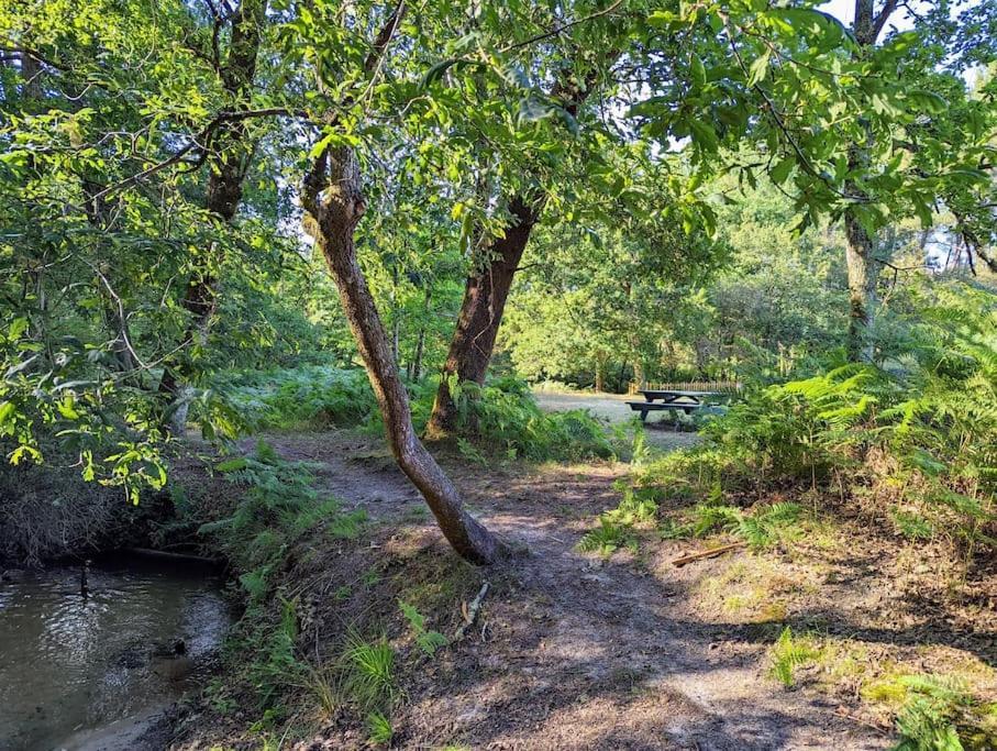 Sejour Paisible En Famille Proche De La Nature - Avec Terrasse Et Aire De Jeu