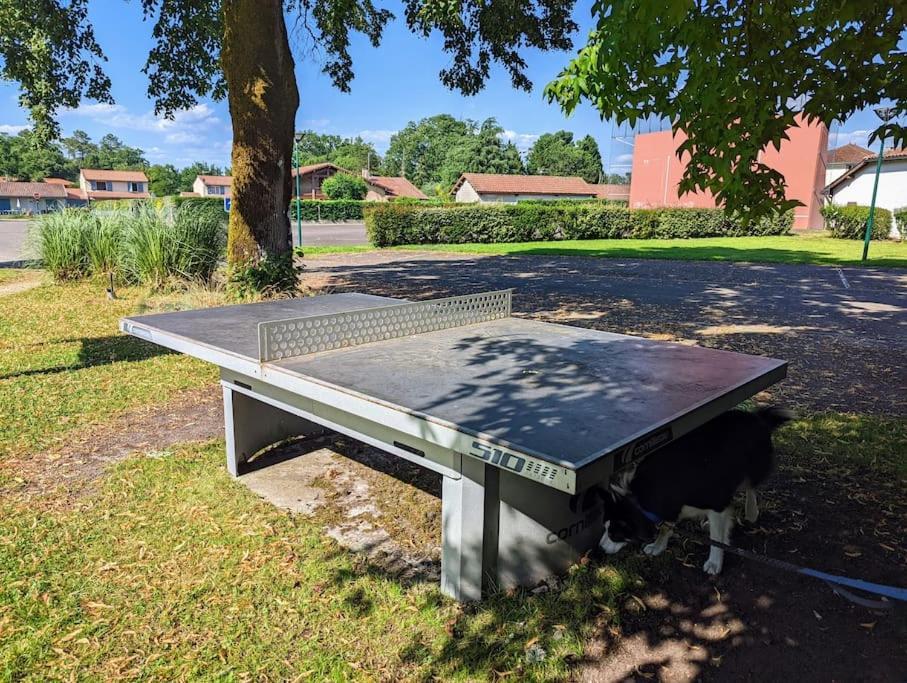 Sejour Paisible En Famille Proche De La Nature - Avec Terrasse Et Aire De Jeu * Lesperon (Landes)